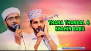 അതിരുകൾ തളരുകയാണിവിടം... THWAHA THANGAL. SHAHIN BABU SONG....... BAFAQI MEDIA