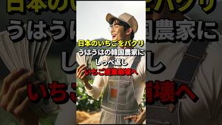 日本のイチゴをパクリ、うはうはの韓国農家にしっぺ返し！いちご産業崩壊へ！ #海外の反応 #韓国 #苺