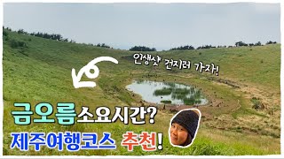 제주🍊 금오름을 제대로 느끼고 싶다면 시청하세요! | 금오름 소요시간 | 오름투어 | 제주여행코스추천 (제주살이 브이로그)