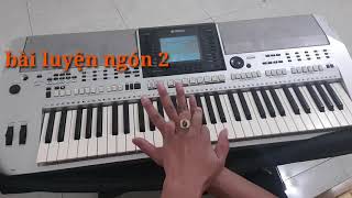 Học đàn organ cấp tốc. Các bài luyện ngón cho người mới học