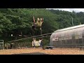 kid shows amazing tricks on slackline rope 1010750