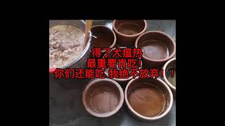 CANINE DISTEMPER IN DOGS犬瘟热【狗瘟】受感染和治疗全过程！！ 不抛弃，不放弃！血泪史！！！#马来西亚 #怡保 #爱狗人士 #必看必学 #救狗知识篇 #distemper