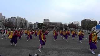 よさこい鳴子連 今日一屋 第１１回四日市よさこい祭り 市民公園会場 広角Ver