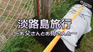 大型犬と行く淡路島旅行2