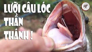 Câu Cá Lóc Bá Đạo - Lưỡi Câu Cá Lóc Thần Thánh