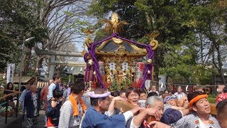 平成３１年　海老名市本郷　本郷神社例大祭　神輿発輿・渡御　甘利 明先生 祝辞