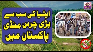 drug addicted in pakistan I  ایشیا کی سب سے بڑی چرس منڈی پاکستان میں I Log Nasha Ku Karty Hain E-BOX