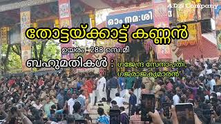 തോട്ടയ്ക്കാട്ട് കണ്ണന്റെ വരവ് | തിരുനക്കര പകൽ പൂരം 2023 | Thirunakkara Mahadeva Temple Kottayam