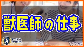 民間？公務員？獣医師になる難易度とその仕事内容、年収まで徹底解説！