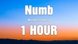 Marshmello And Khalid - Numb  Lyrics  1 Hour 