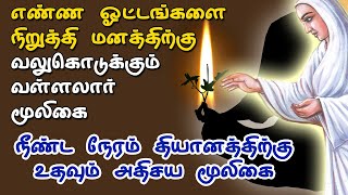 தியானத்திற்கு உதவும் அதிசய மூலிகை |எண்ண ஓட்டங்களை நிறுத்தி மனத்திற்கு வலுகொடுக்கும் வள்ளலார் மூலிகை