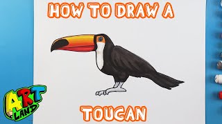 How to Draw a TOUCAN