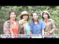 tv5korat 25 2 2559 1515 ข่าว5ทั่วไทย สกู๊ป ปลูกทุเรียนสร้างรายได้ โคราช