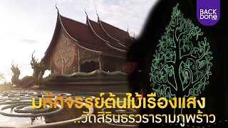 มหัศจรรย์ต้นไม้เรืองแสง วัดสิรินธรวรารามภูพร้าว | ท่องทั่วไทย