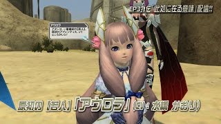 『PSO2』冬の中規模アップデート「煌めき舞う絶対防衛戦」紹介ムービーPart2