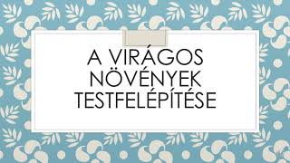 A virágos növények testfelépítése