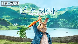 【本編冒頭10分】映画『ピーターラビット™』期間限定公開中！