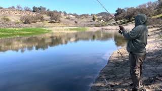 Lake San Antonio CA trout fishing 02/23/2025