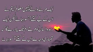 Urdu Quotes | Quotes In Urdu | Life Changing Quotes By Amir Joya | Quotes On Love