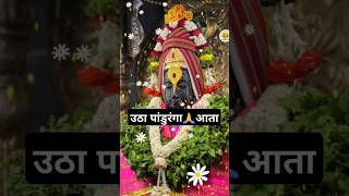 आता दर्शन द्या सकळा🙌🙏 झाला अरुणोदय 🌼सरली निद्रेची वेळा🪔 #vitthal #kakadarti #trending