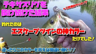 2022 5/28 西の湖 エスケープツインあの神カラーだけはやっぱり釣れる説！