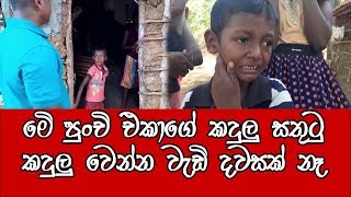 පිට රටක හිටියත් අපේකම හදුනන මිනිසුන් - padiyathalawa