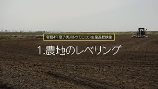 【涌谷町】新たな転作作物「子実用とうもろこし」の生産過程：1.農地のレベリング