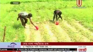 Bogra Saving irrigation methods, 12 July 2016