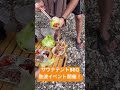 【夏vlog】幼馴染4人とサウナテントbbq！熱波イベントを開催し、極上のアウフグースを体験しました。