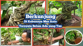 Berkunjung di Lahan Sancang Seribu Pohon, Ternyata.....