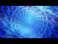 PNAU- chameleon audio