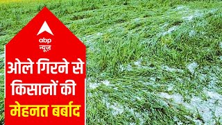 MP: Thunderstorm creates trouble for farmers, destroys crops in Raisen