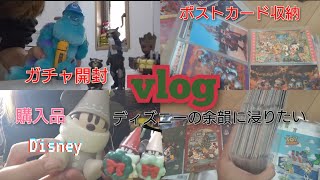 【vlog】購入品とガチャ開封∣ディズニー