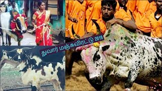 Manjuvirattu video 2019 #துவார் மஞ்சுவிரட்டு