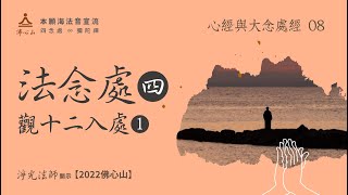 【心經與大念處經的經法與禪法08】法念處4──觀十二入處1【字幕版】__淨光法師開示