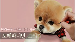 반려동물초상화/강아지그림/초상화/How to draw a dog/petportrait/pet portrait/Pomeranian