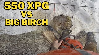 Husqvarna 550 XPG VS BIRCH