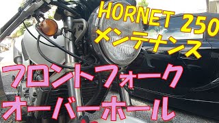 【ホーネット250】キャブレターのオーバーホールをしてみた【メンテナンス】【DIY】