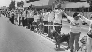 Hands Across America A Tribute