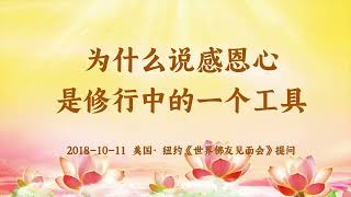 卢台长【共修组提问】为什么说感恩心是修行中的一个工具？| 观世音菩萨心灵法门 (2018.10.11美国纽约)