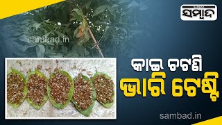 Keonjhar Tribal People's Favorite, Red Ants Spicy Tribal Dish, It's Get Sold In Market | Sambad