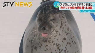 【動物園】小さくてもかわいい　身近だけどいやされる　北海道自慢の動物園と水族館がここにある