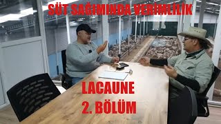 SÜTTE LAKTASYON NEDİR? | KOÇ SÜRÜYE NE ZAMAN KATILIR? | LACAUNE 2  BÖLÜM