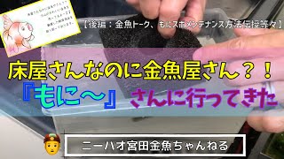 【ニーハオ宮田】金魚ちゃんねる_『金魚屋・もに〜（後編）』