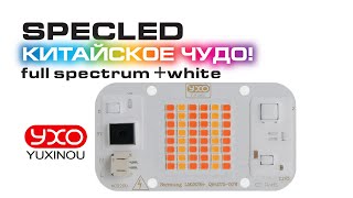 LED COB 220V YXO full spectrum+white, светодиодная матрица для освещения растений