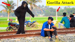 Gorilla Attack Prank || Scary Gorilla Prank on Public - Part 12 || 4 Minute Fun