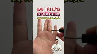 Huyệt Phục Nguyên chủ trị đ,au thắt lưng, đ,ah t,hần k,inh toạ  #trieudongy #trieuvltl