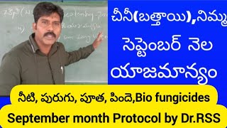 చీనీ(బత్తాయి), నిమ్మ -సెప్టెంబర్ నెల యాజమాన్యం.Citrus crop September month SOP/Protocol by dr rss.