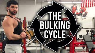 Why (and How) They ALWAYS Lie About Bulking