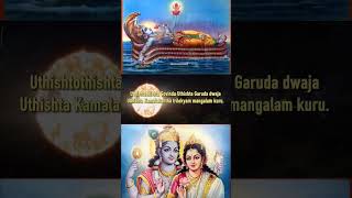 Shriman naryan narayan hari hari l #bhajan #viral #shortvideo #govinda #krishna #video #vrindavan